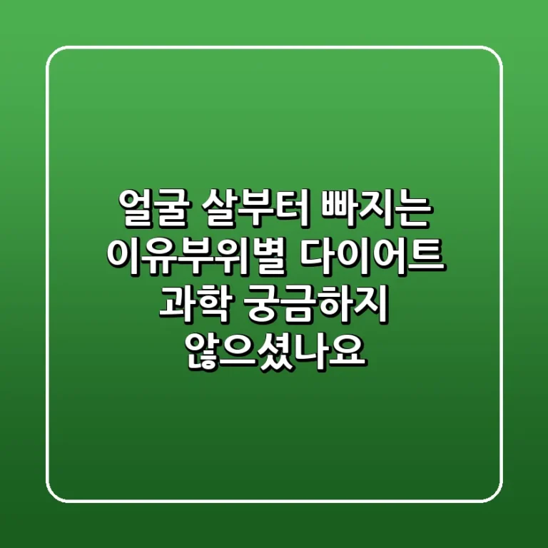 얼굴 살부터 빠지는 이유부위별 다이어트 과학 궁금하지 않으셨나요
