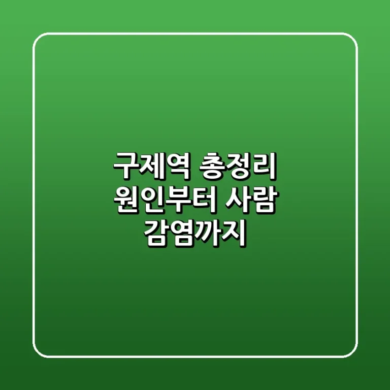 구제역 총정리 원인부터 사람 감염까지