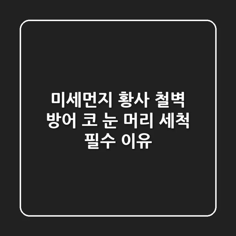 미세먼지 황사 철벽 방어 코 눈 머리 세척 필수 이유