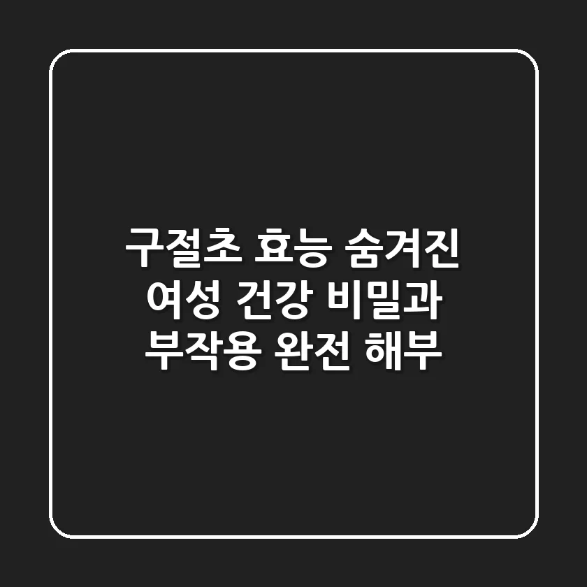 구절초 효능: 숨겨진 여성 건강 비밀과 부작용 완전 해부