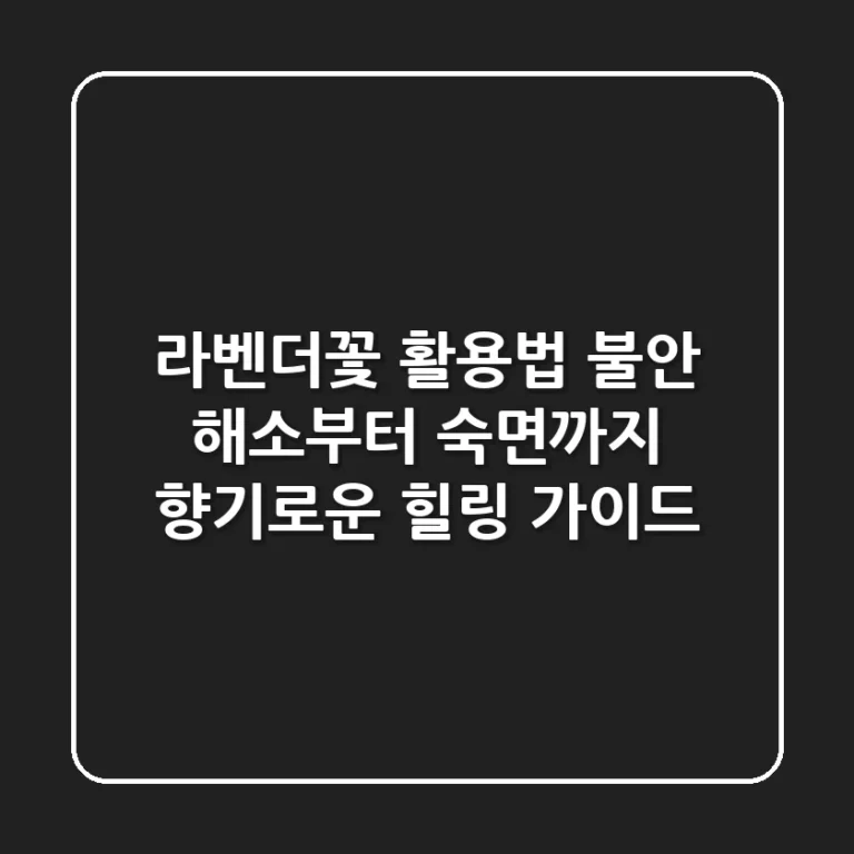 라벤더꽃 활용법: 불안 해소부터 숙면까지, 향기로운 힐링 가이드