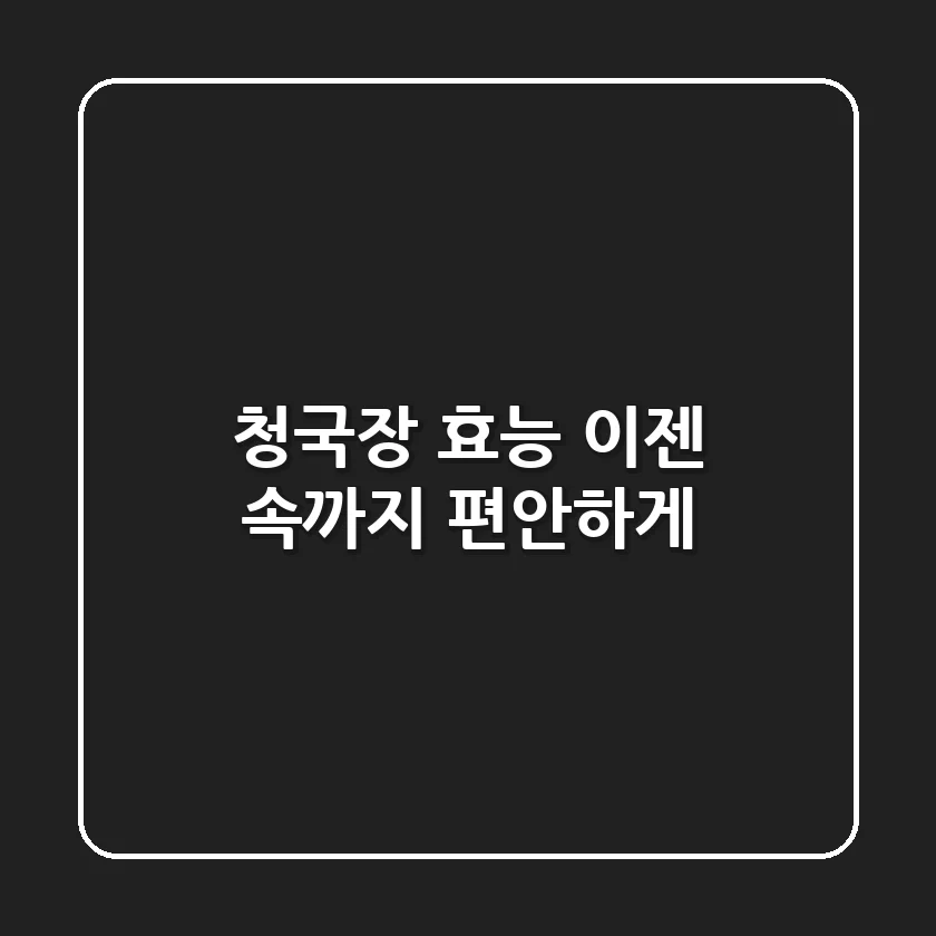 청국장 효능, 이젠 속까지 편안하게!