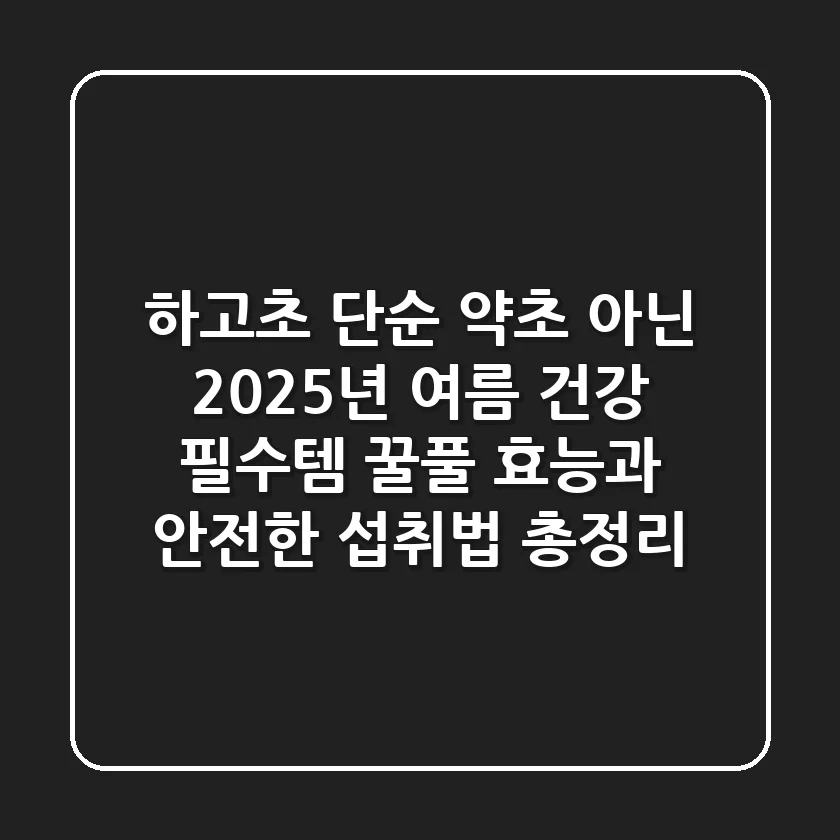 하고초, 단순 약초 아닌 2025년 여름 건강 필수템? 꿀풀 효능과 안전한 섭취법 총정리