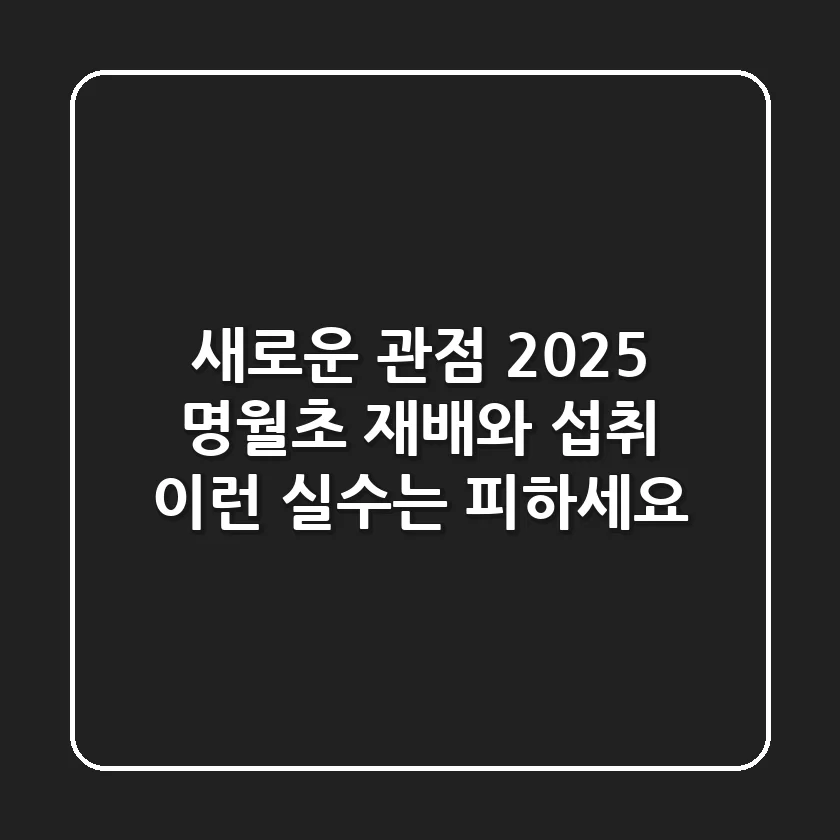 새로운 관점: 2025 명월초 재배와 섭취, 이런 실수는 피하세요