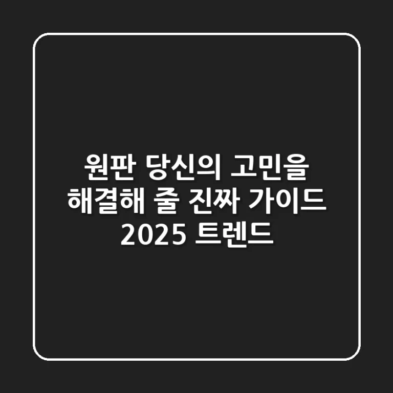 원판, 당신의 고민을 해결해 줄 진짜 가이드 (2025 트렌드)