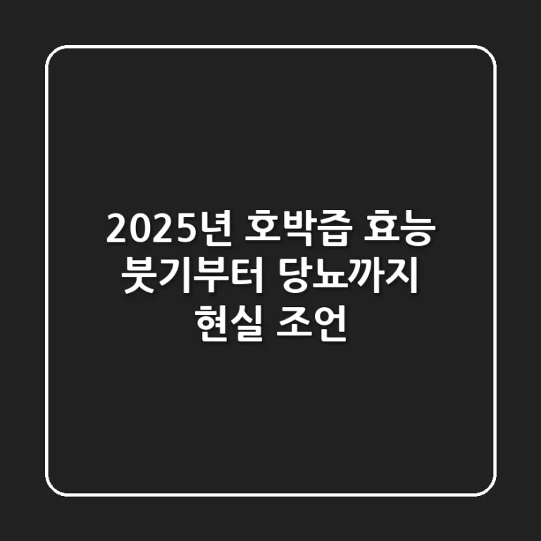 2025년 호박즙 효능, 붓기부터 당뇨까지 현실 조언!