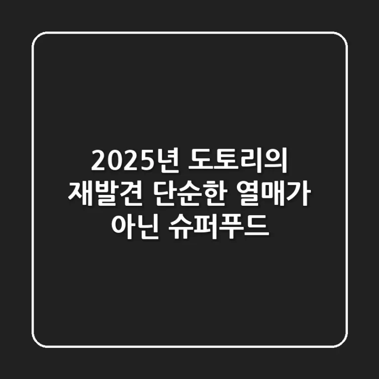 2025년, 도토리의 재발견: 단순한 열매가 아닌 '슈퍼푸드'