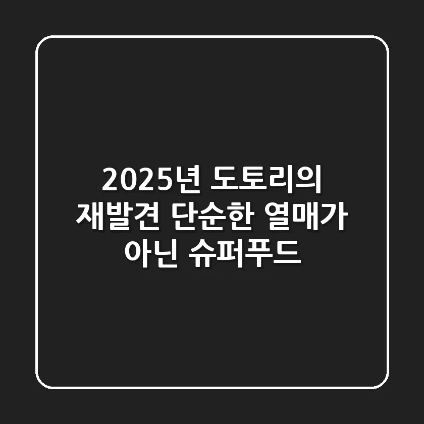 2025년, 도토리의 재발견: 단순한 열매가 아닌 '슈퍼푸드'
