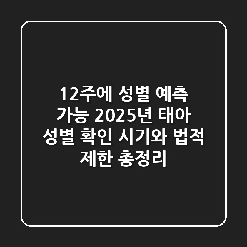 "12주에 성별 예측 가능?", 2025년 태아 성별 확인 시기와 법적 제한 총정리