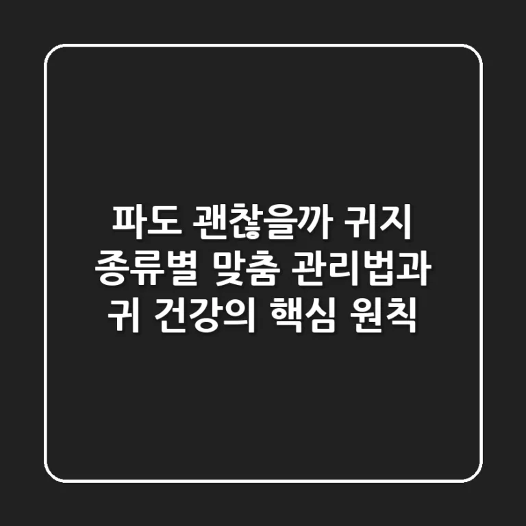"파도 괜찮을까?", 귀지 종류별 맞춤 관리법과 귀 건강의 핵심 원칙